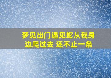 梦见出门遇见蛇从我身边爬过去 还不止一条